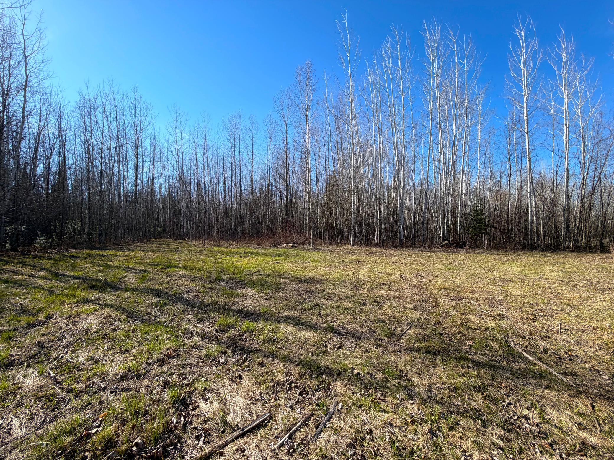 Lot C County Road 79 Property Photo 16
