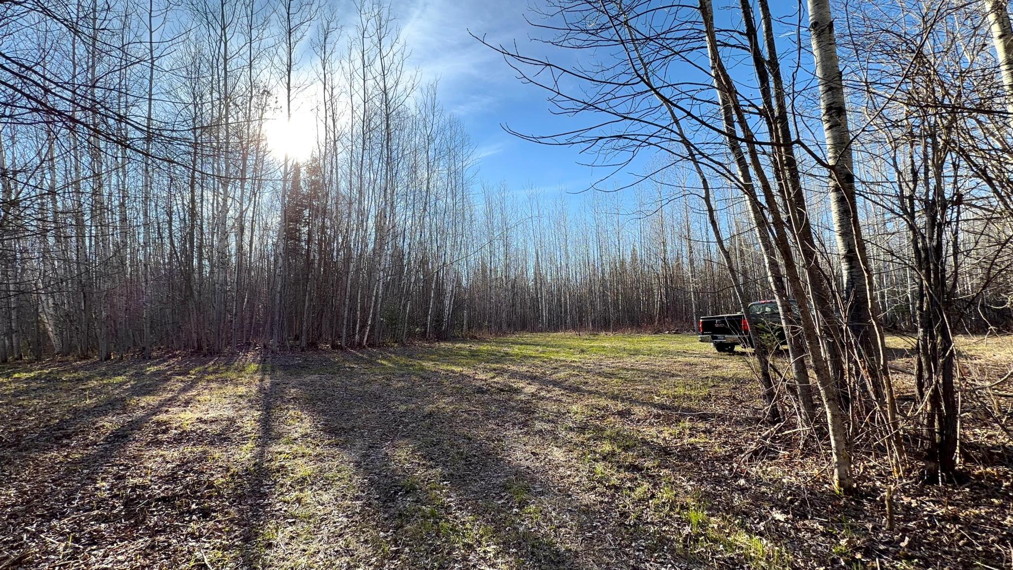 Lot C County Road 79 Property Photo 37