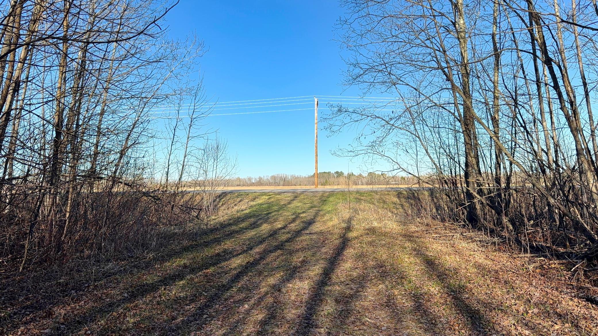 Lot C County Road 79 Property Photo 38