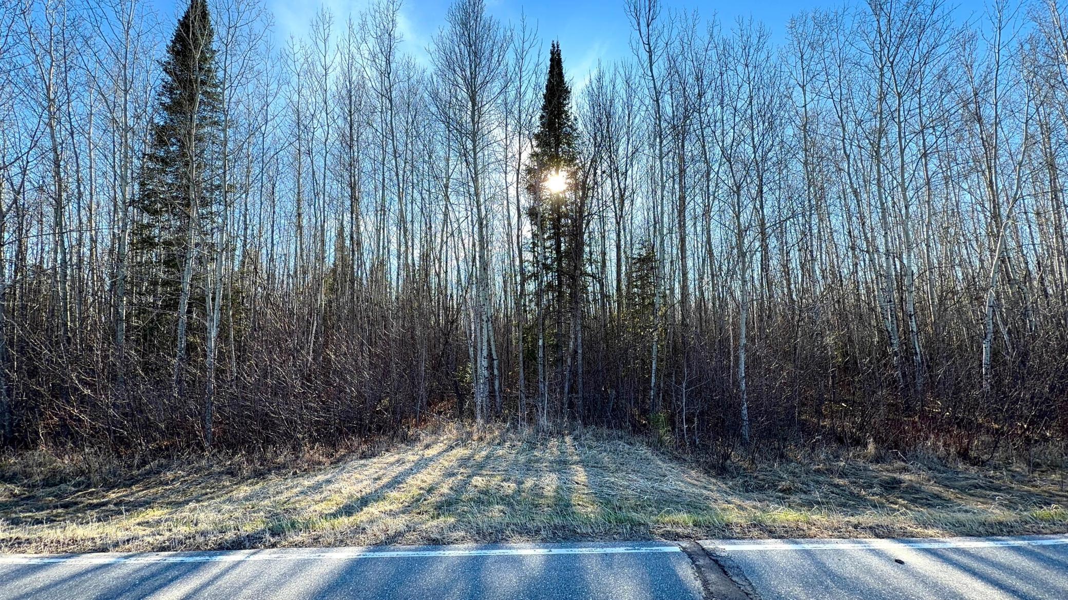 Lot C County Road 79 Property Photo 41