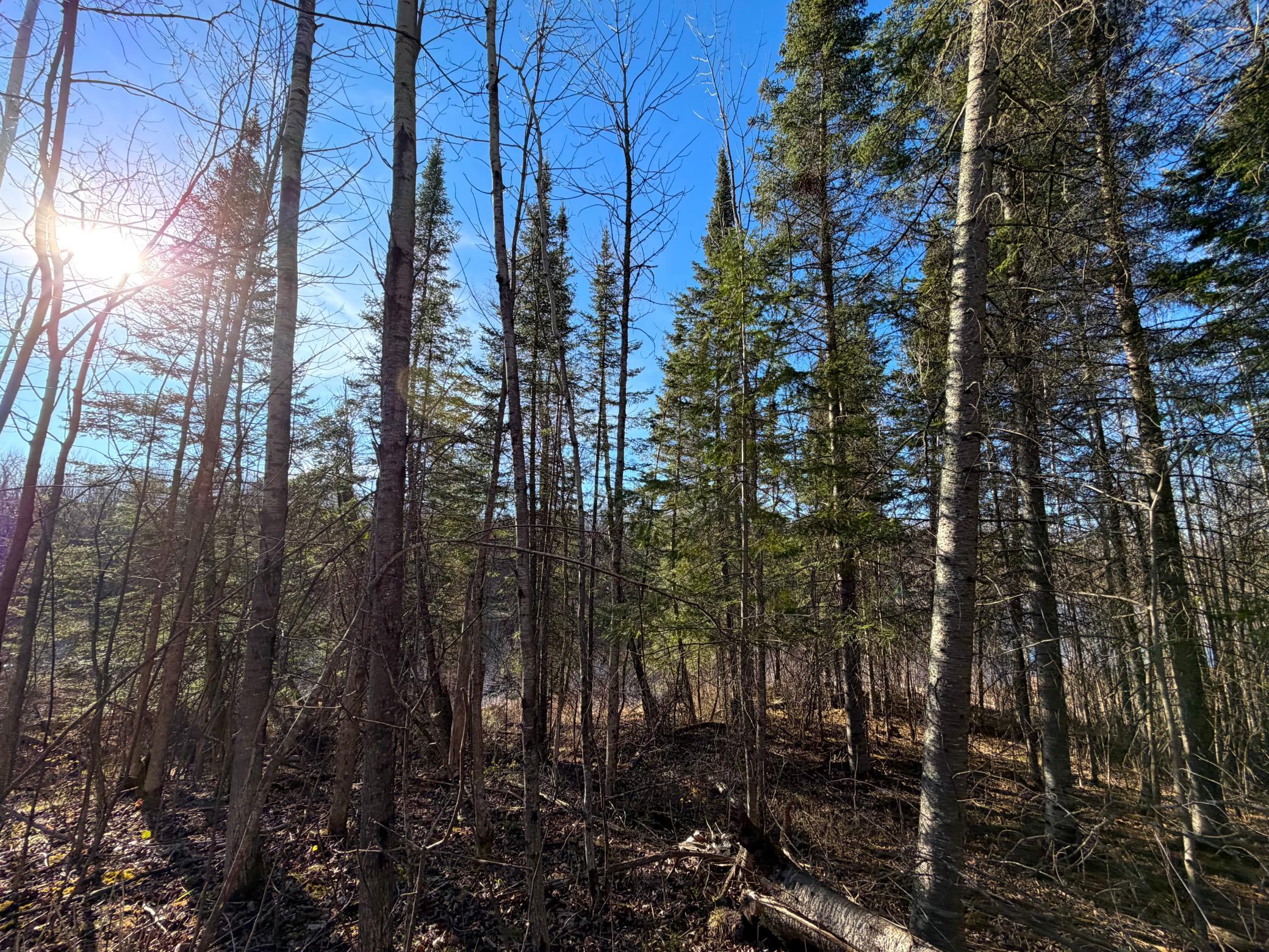 Lot E County Road 79 Property Photo 15