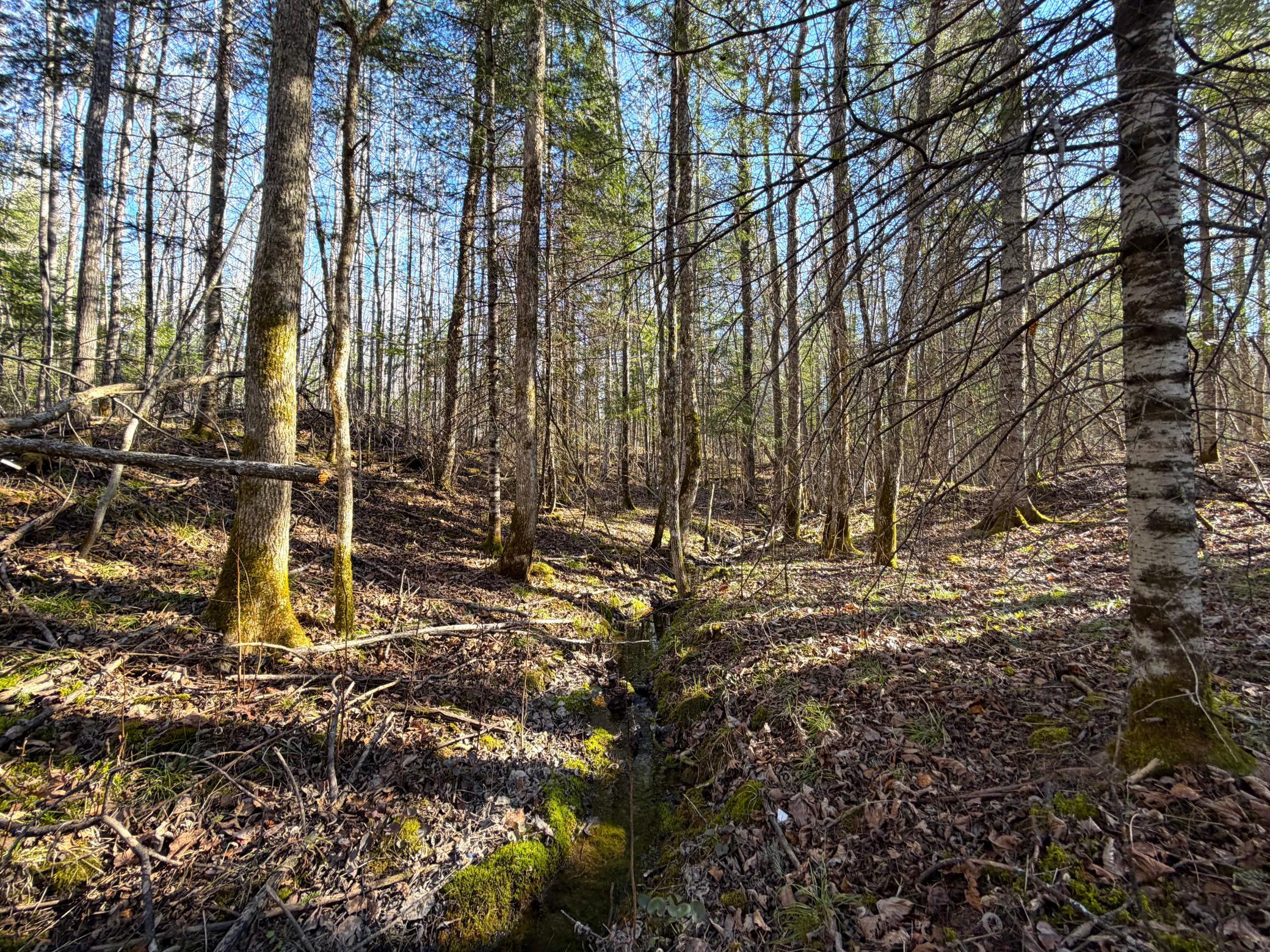 Lot E County Road 79 Property Photo 19