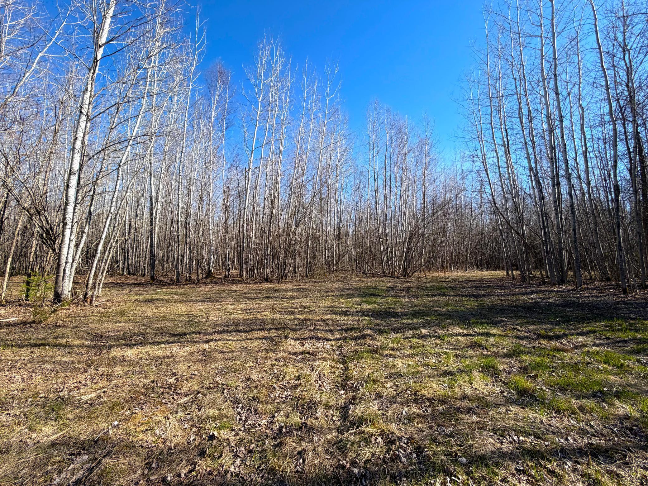 Lot E County Road 79 Property Photo 20