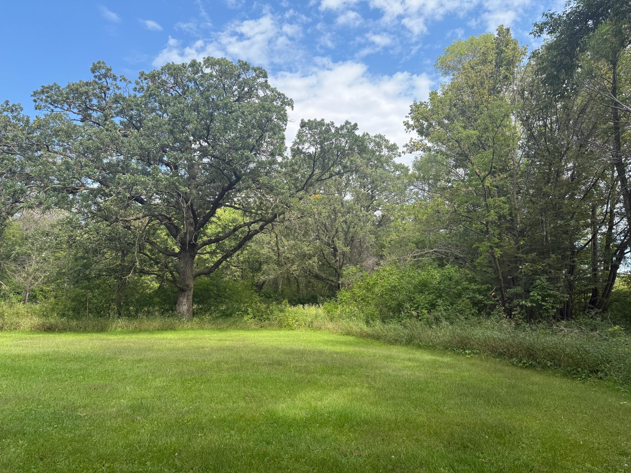 3928 State Highway 200 Property Photo 44