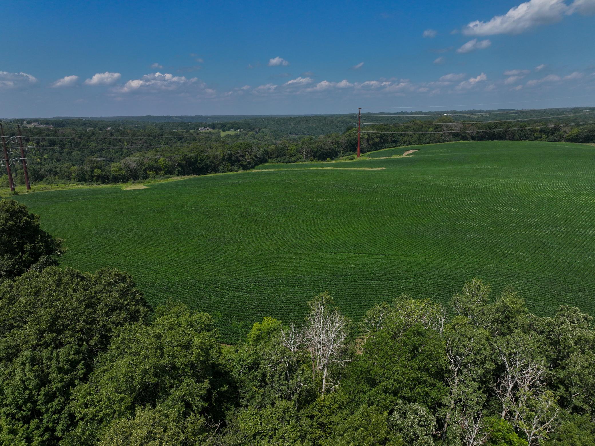 Tbd White Bridge Road Ne Property Photo 12