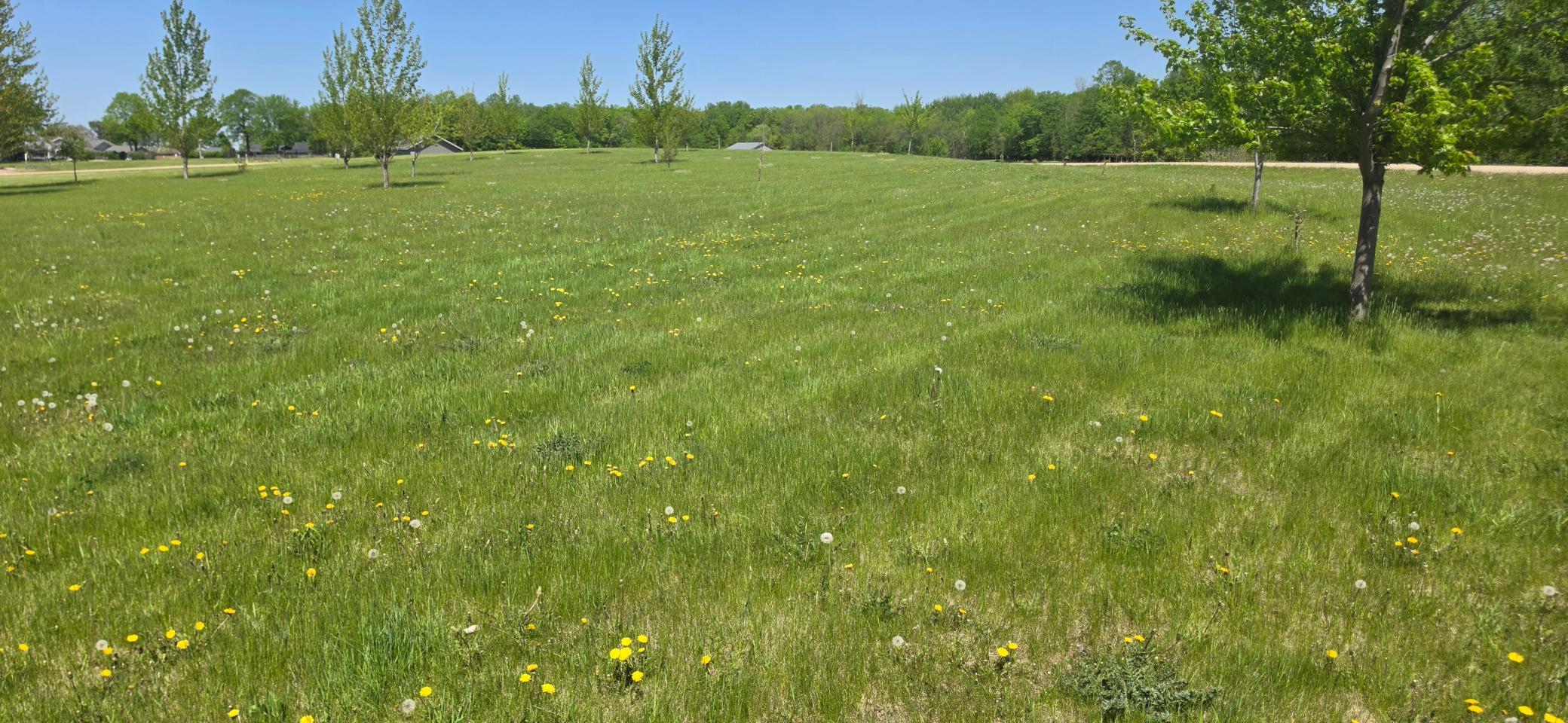 Tbd Meadows Circle Property Photo 4