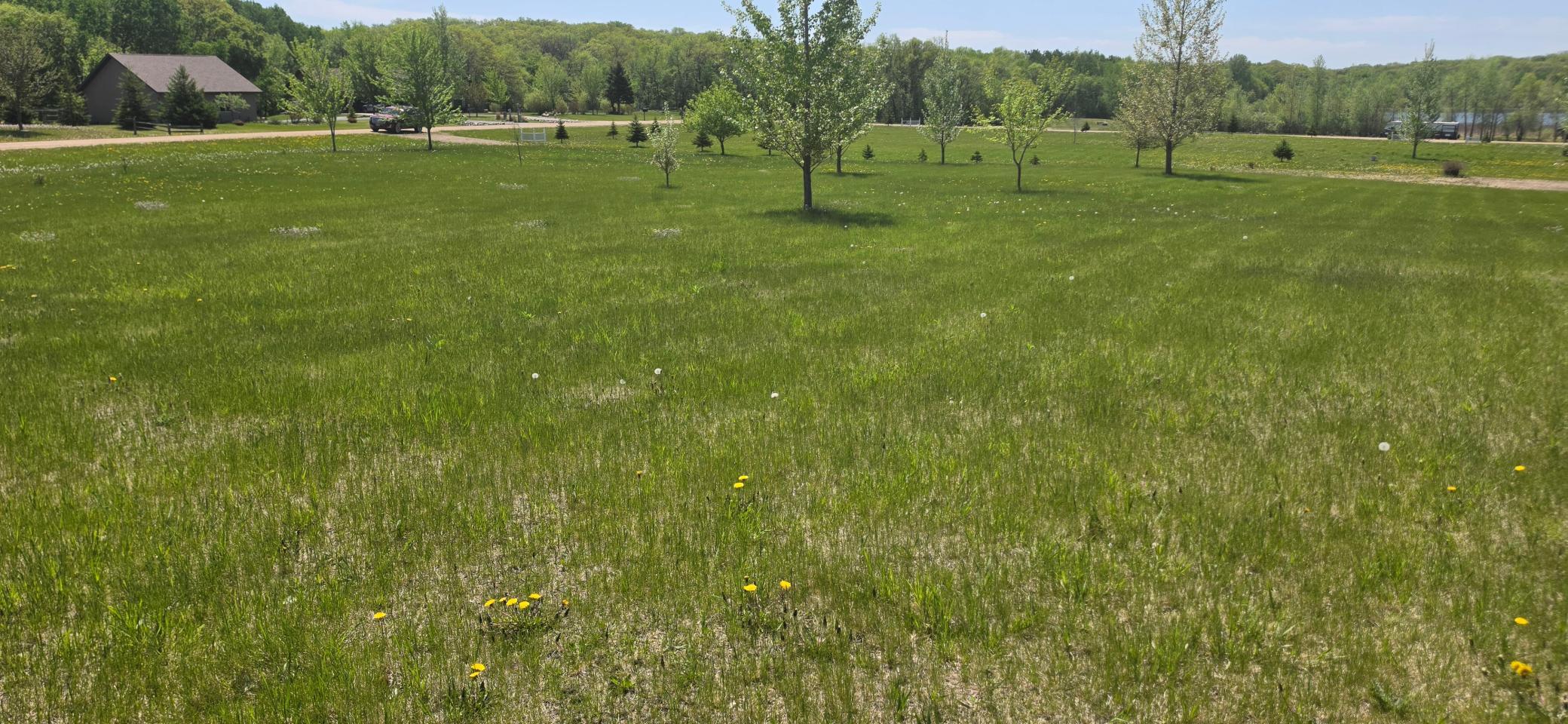 Tbd Meadows Circle Property Photo 5