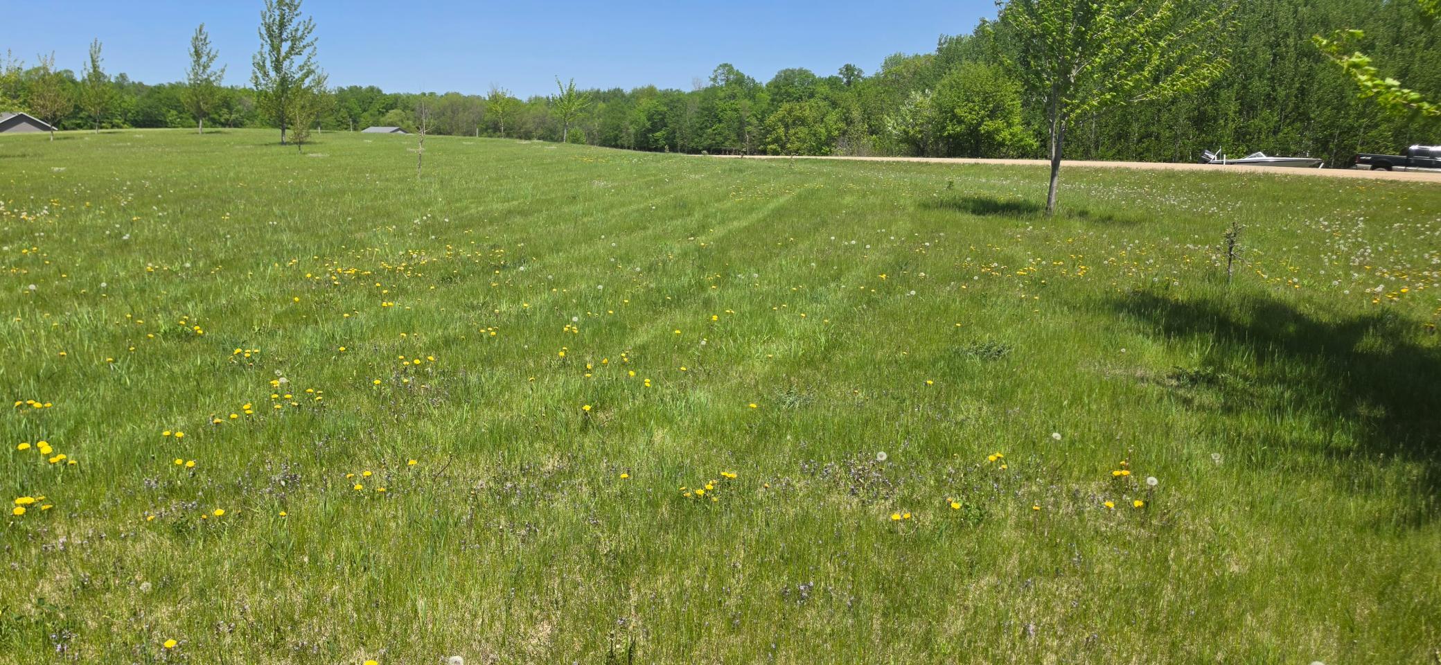 Tbd Meadows Circle Property Photo 6