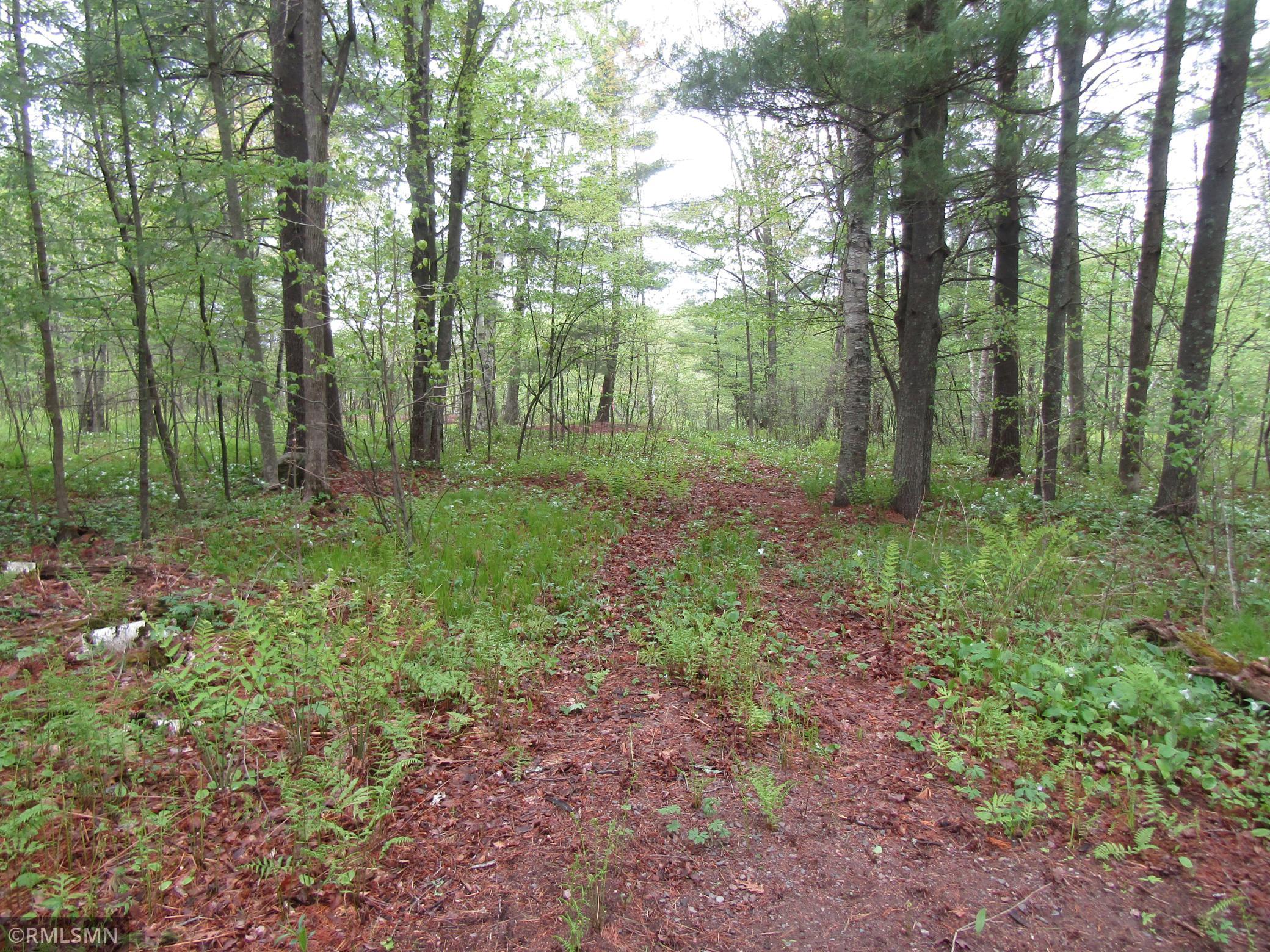 15442 Lofty Pines Road Property Photo 3
