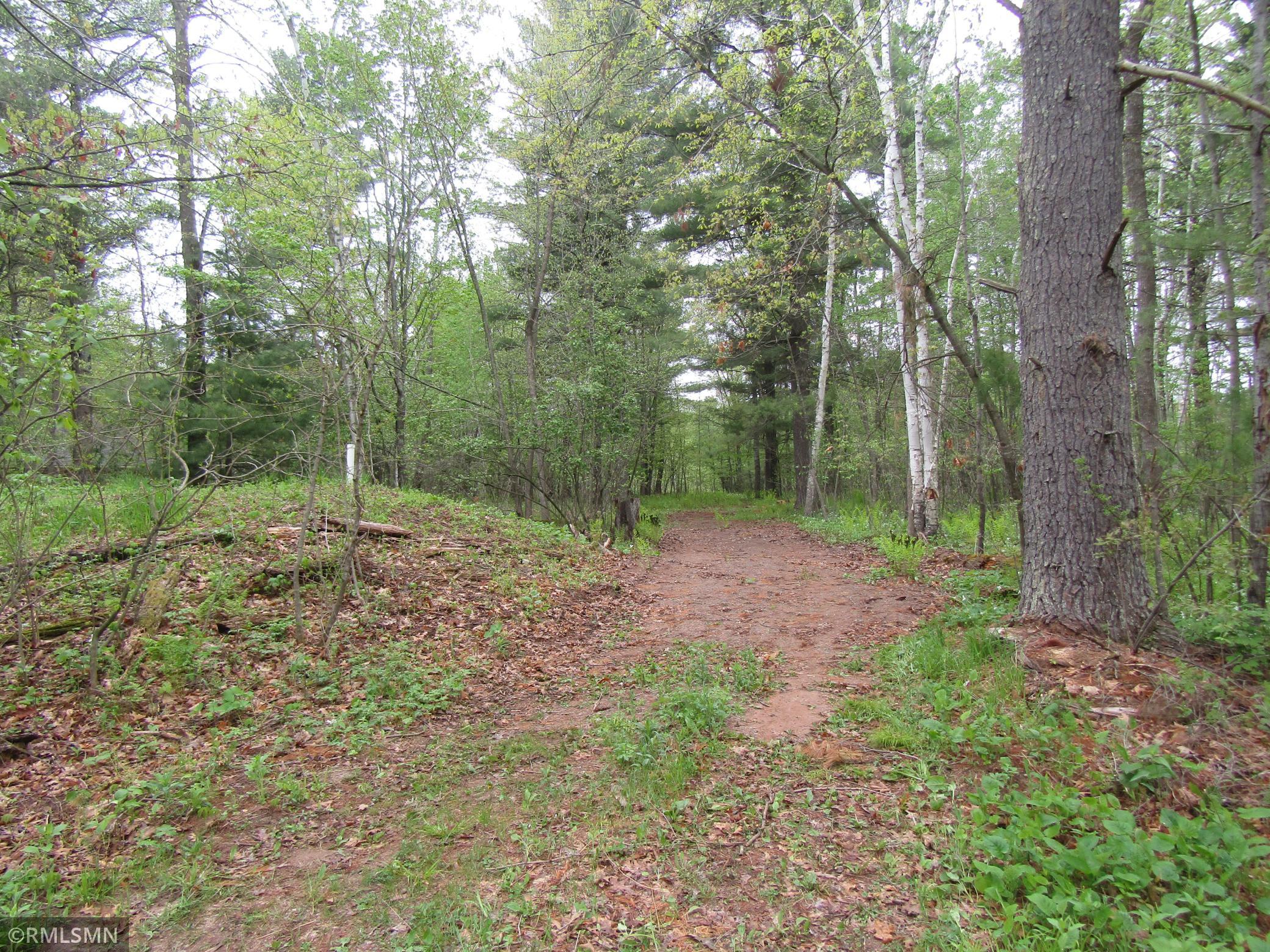 15442 Lofty Pines Road Property Photo 5