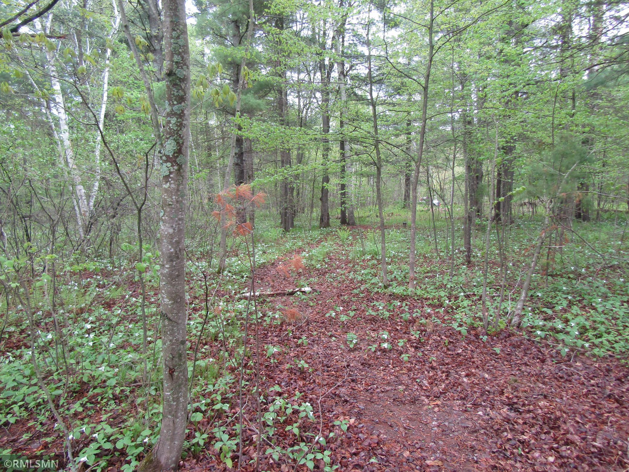 15442 Lofty Pines Road Property Photo 8