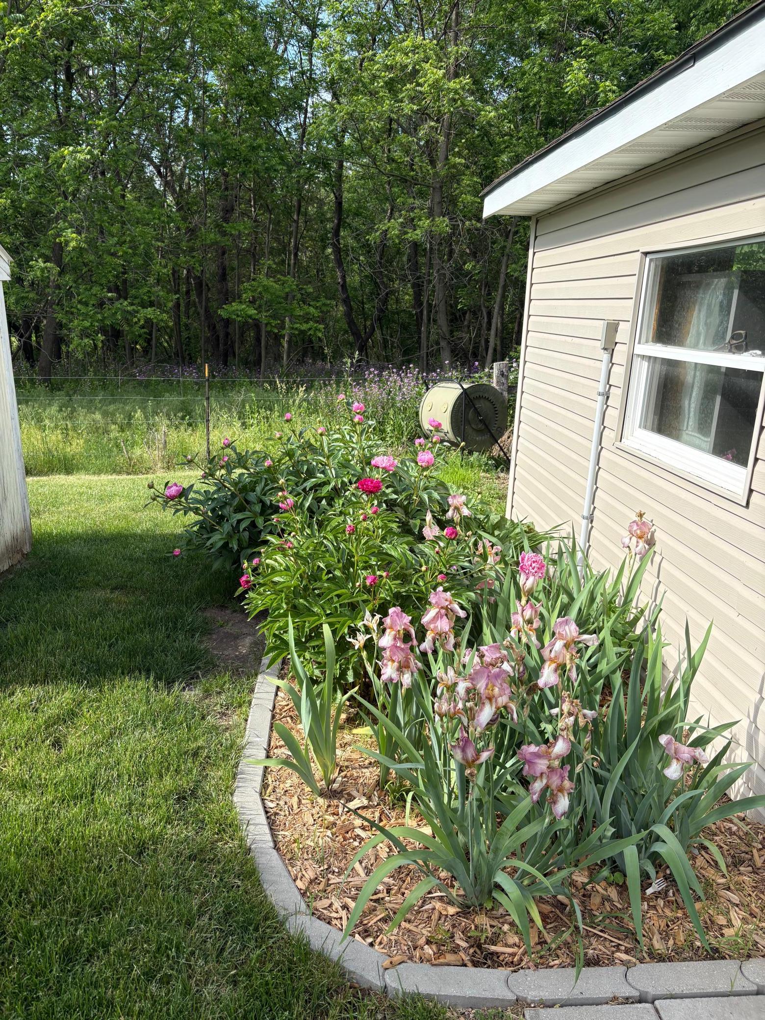 22453 State Highway 16 Property Photo 56