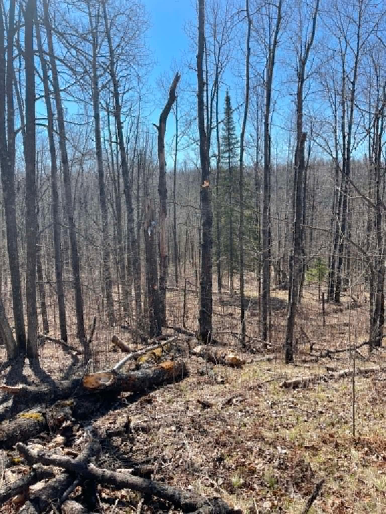 Xxx Co Rd 8 Property Photo 5