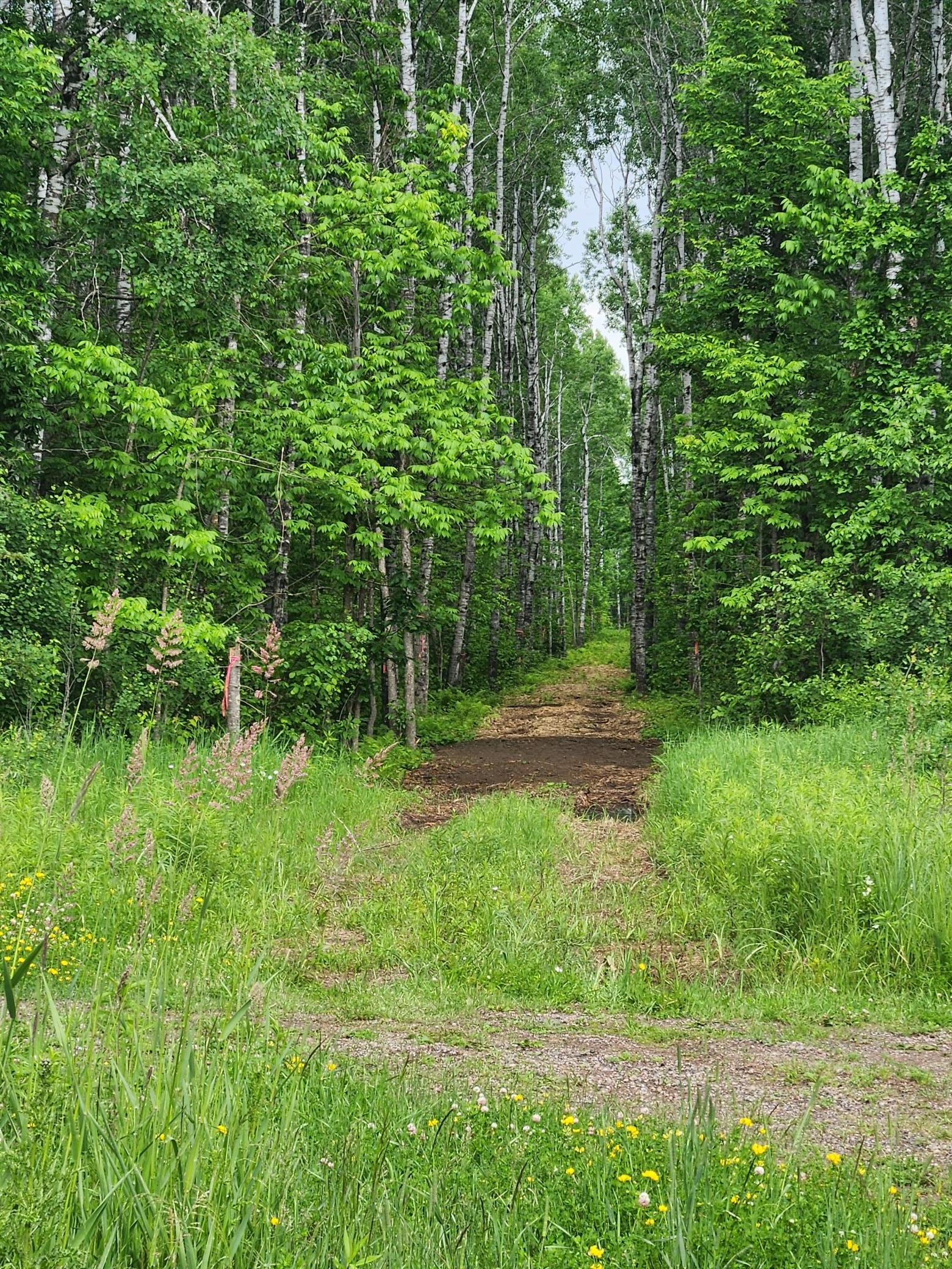 Xxx Co Rd 8 Property Photo 15