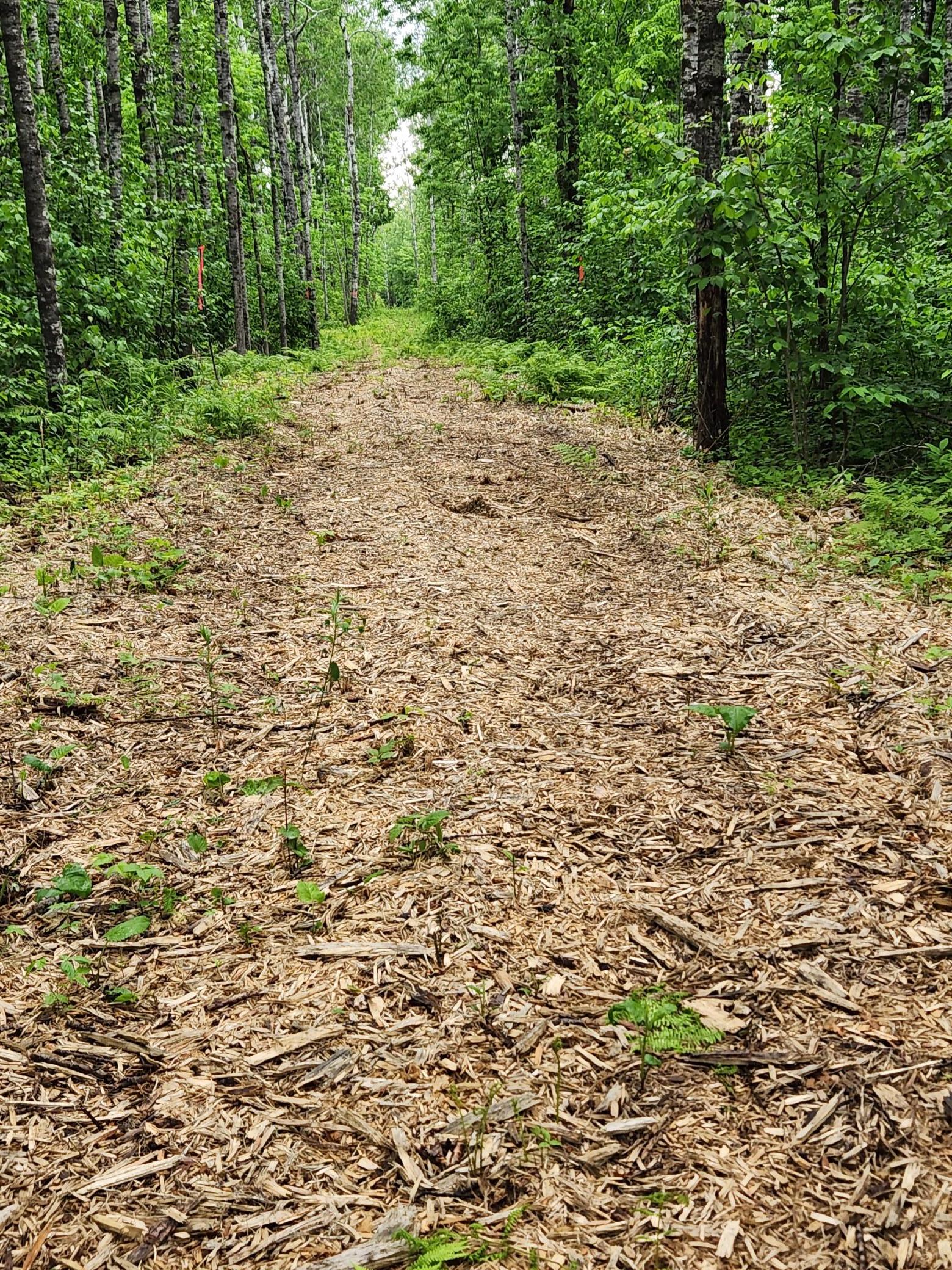 Xxx Co Rd 8 Property Photo 16