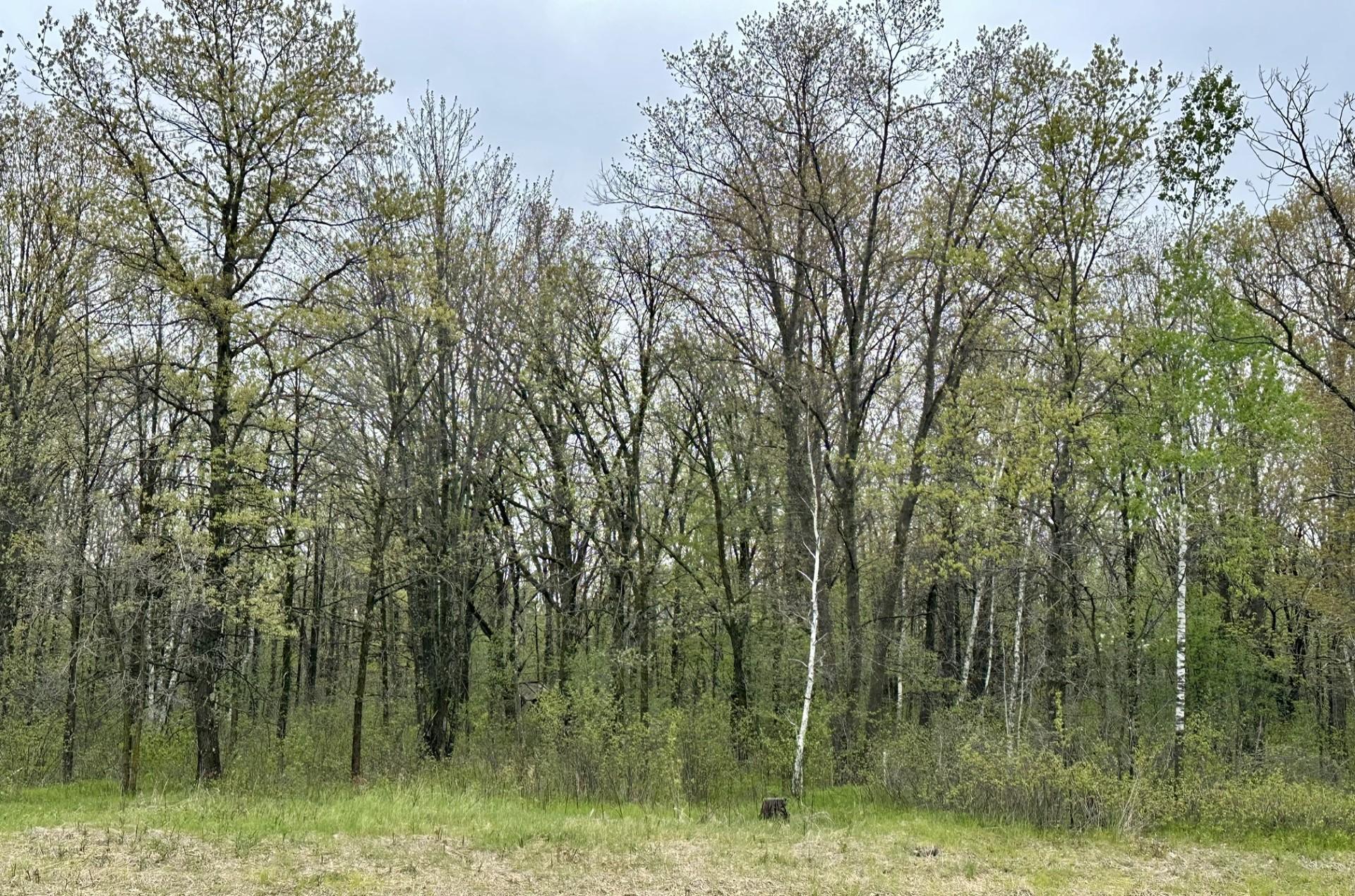 Tbd Jewel Road Property Photo 1