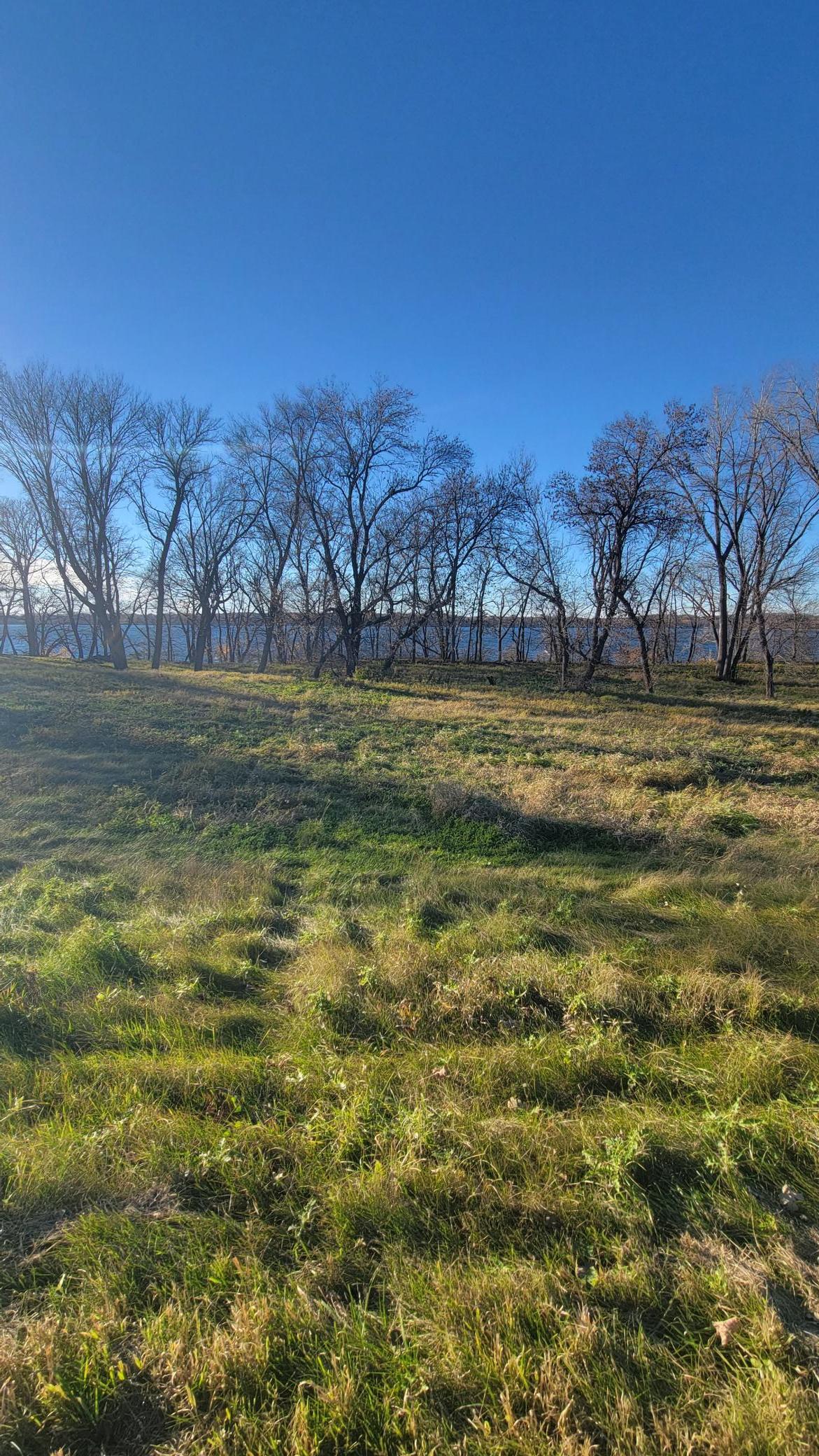 Tbd Lot 2 County Road 9 Ne Property Photo 3