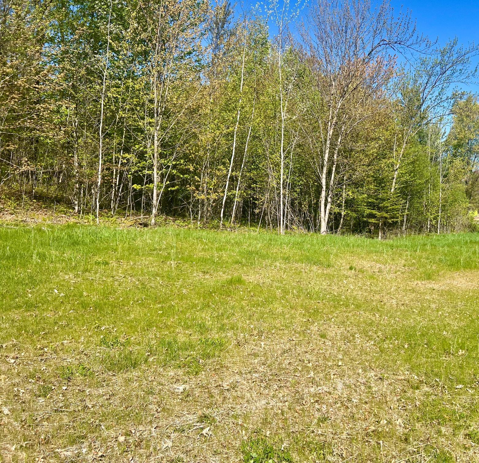 Lot 13 Legacy Drive Property Photo 6