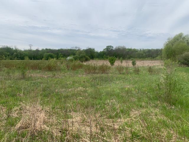 25560 Fairlawn Avenue Property Photo 3