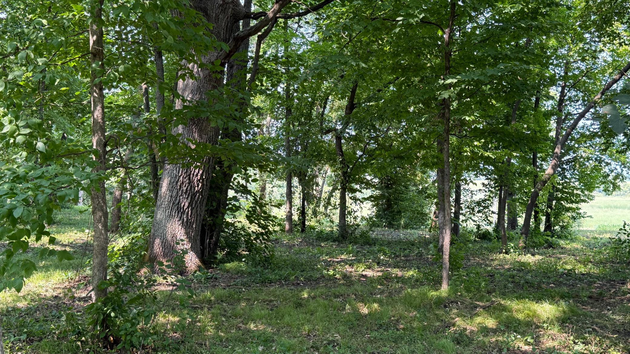 Tbd 125th Street Property Photo 14