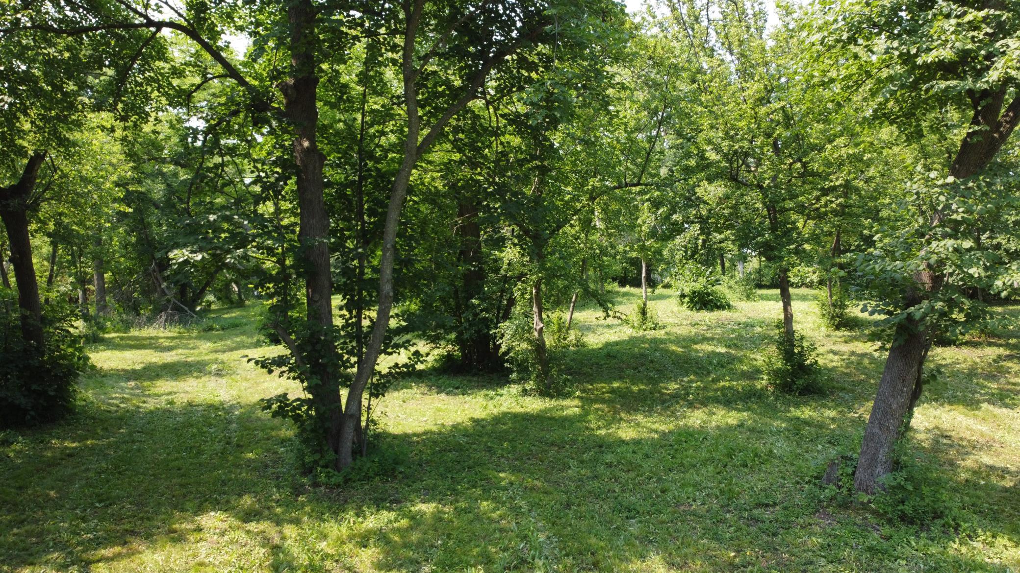Tbd 125th Street Property Photo 16