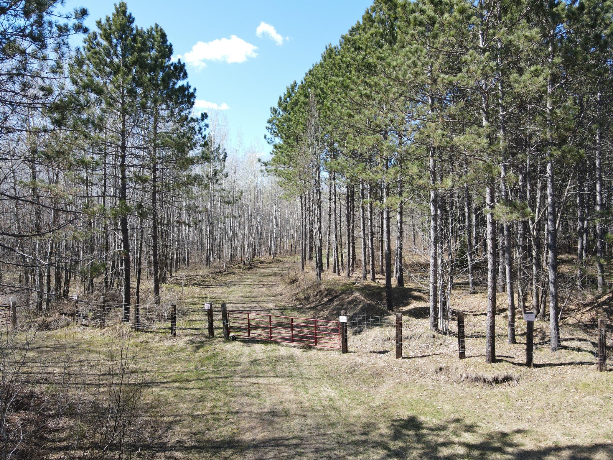 Tbd (164.21ac) Maple Grove Road Property Photo 1