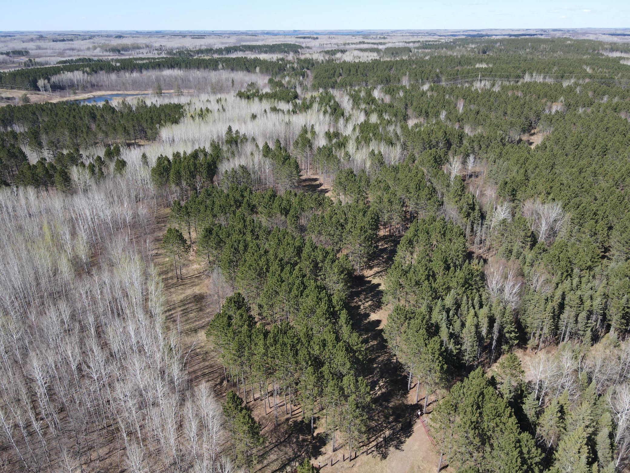 Tbd (280ac) Maple Grove Road Property Photo 1