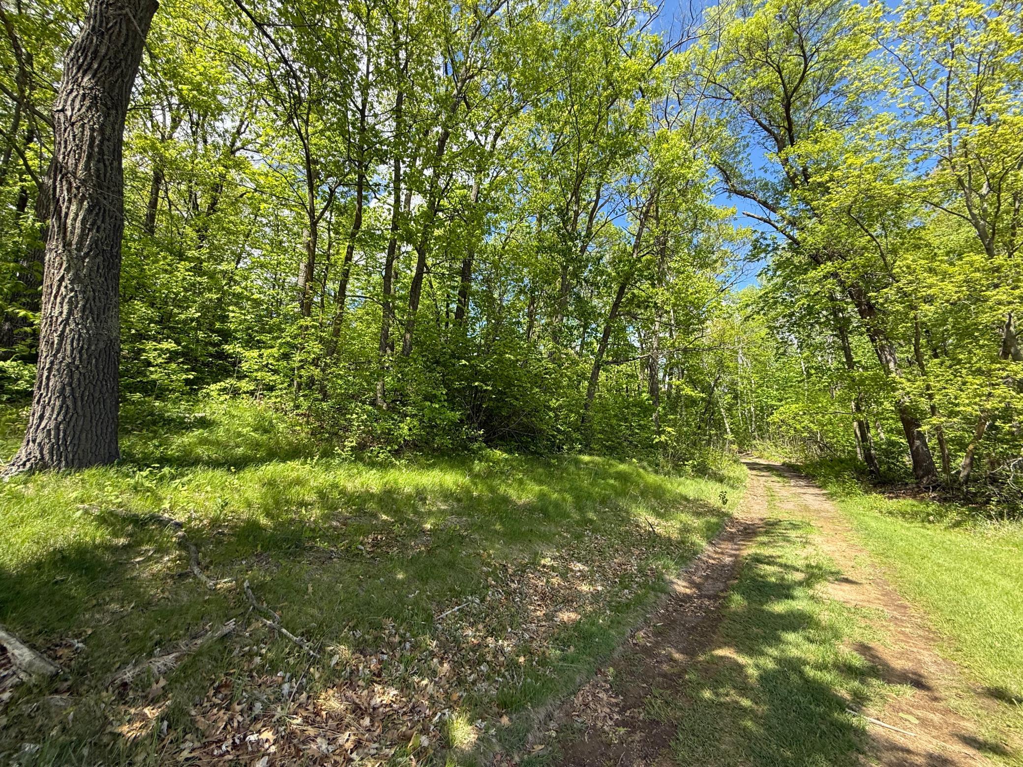 0 Captive Lake Rd Property Photo 8