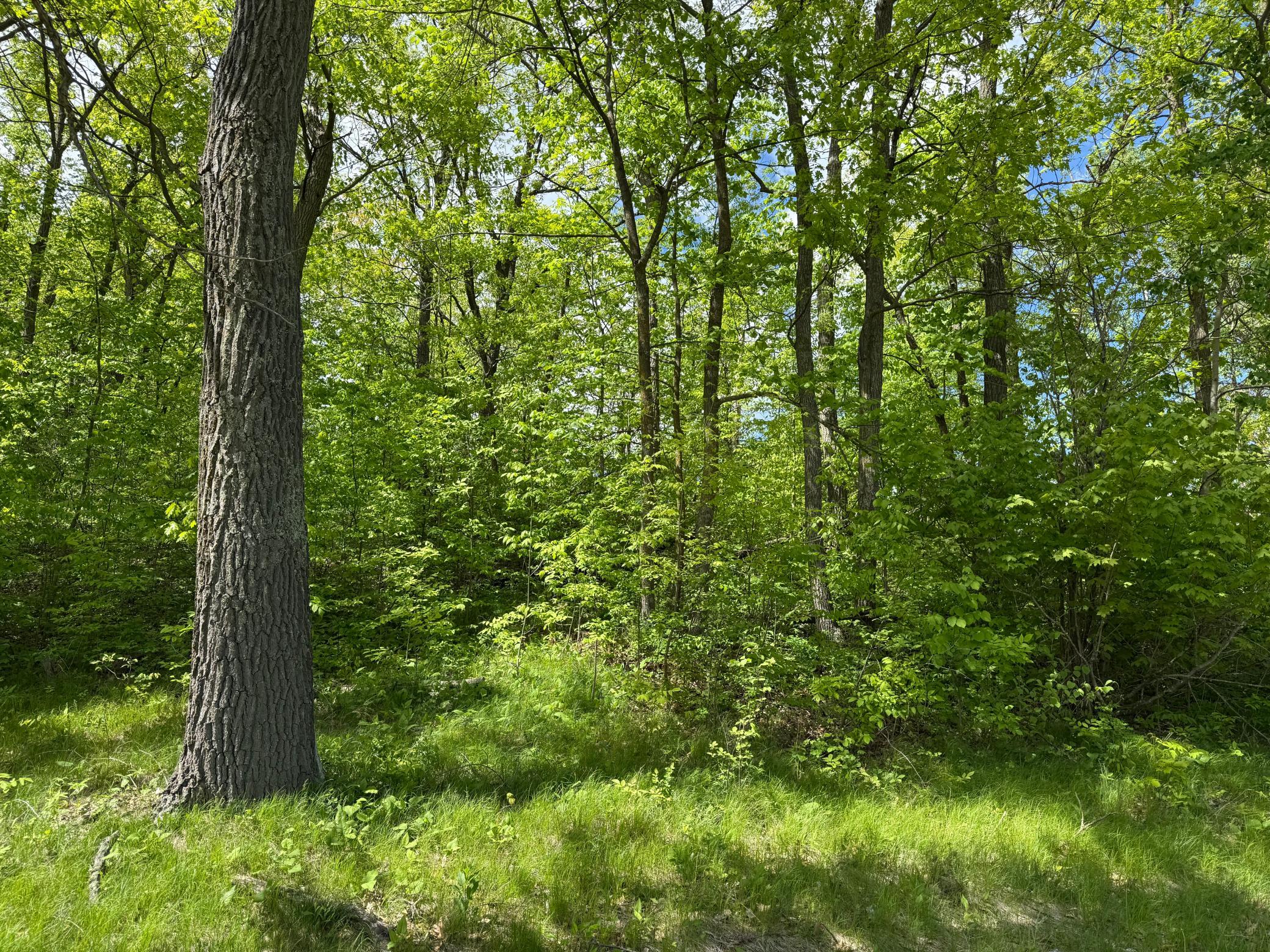 0 Captive Lake Rd Property Photo 9