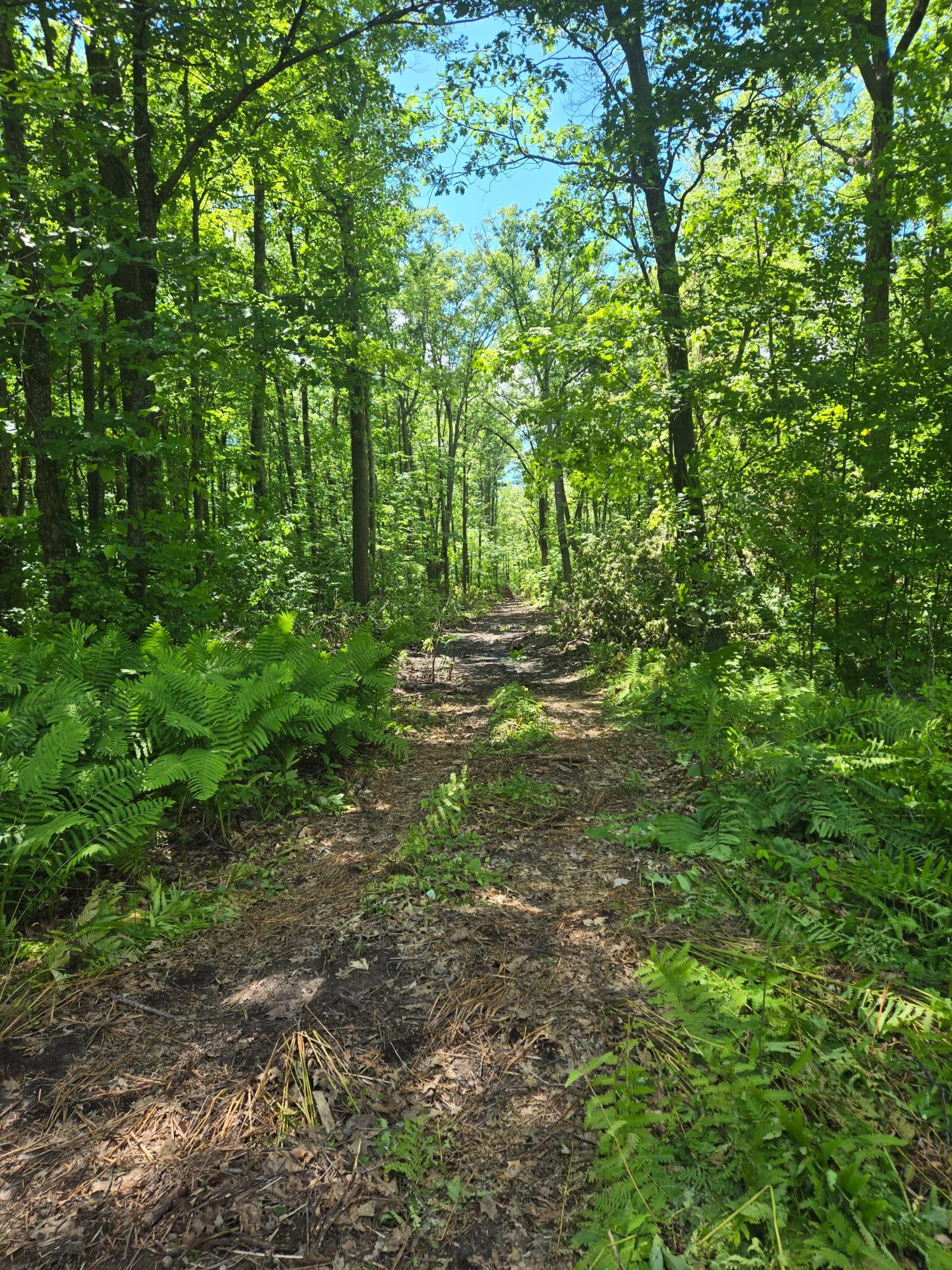 Tbd Marsh Road Property Photo 11