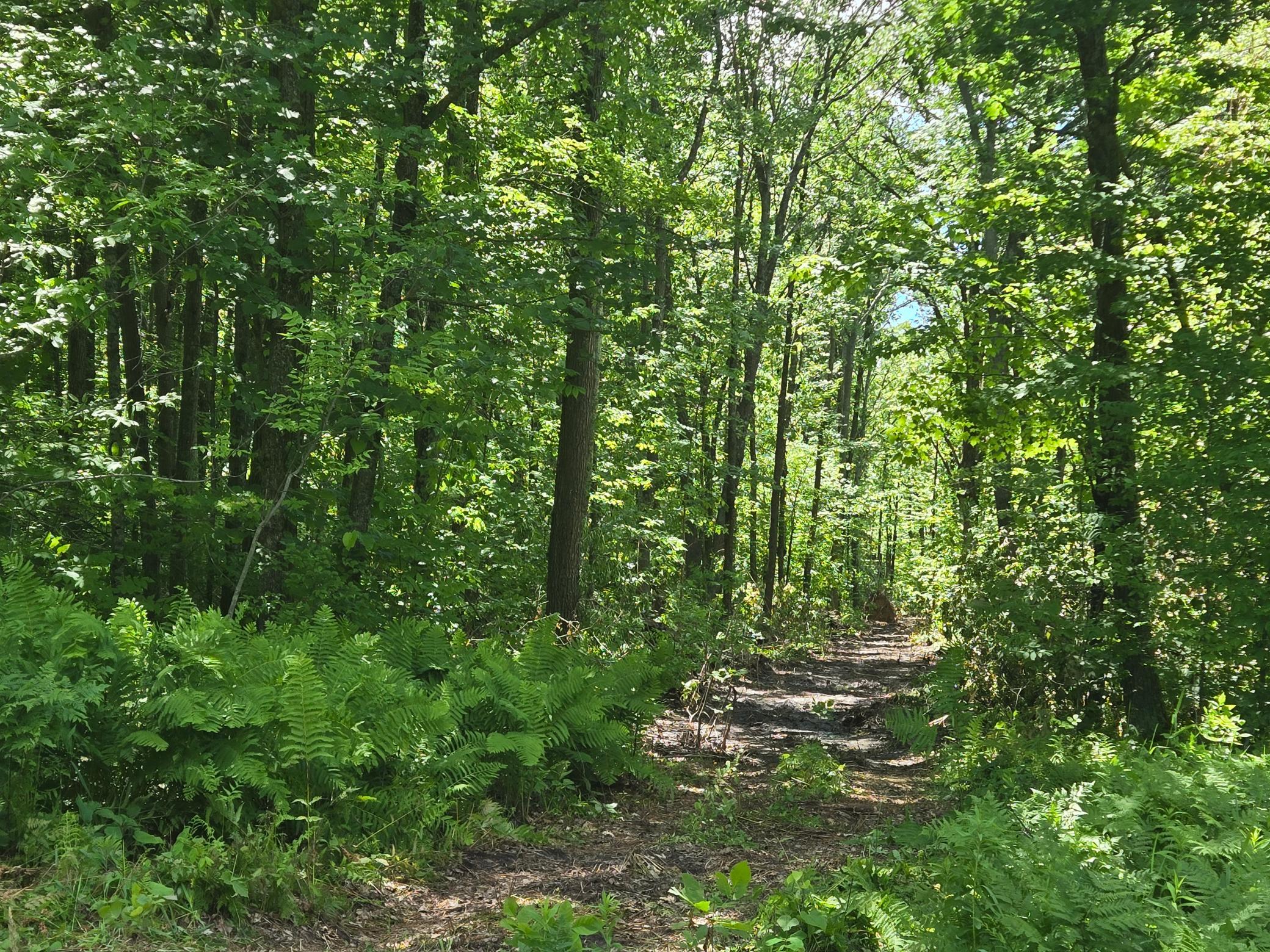 Tbd Marsh Road Property Photo 14