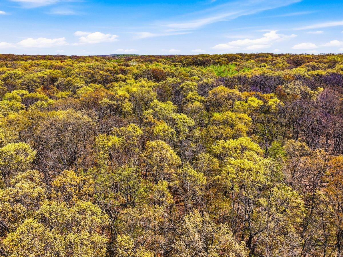 W6474 River Road Property Photo 5