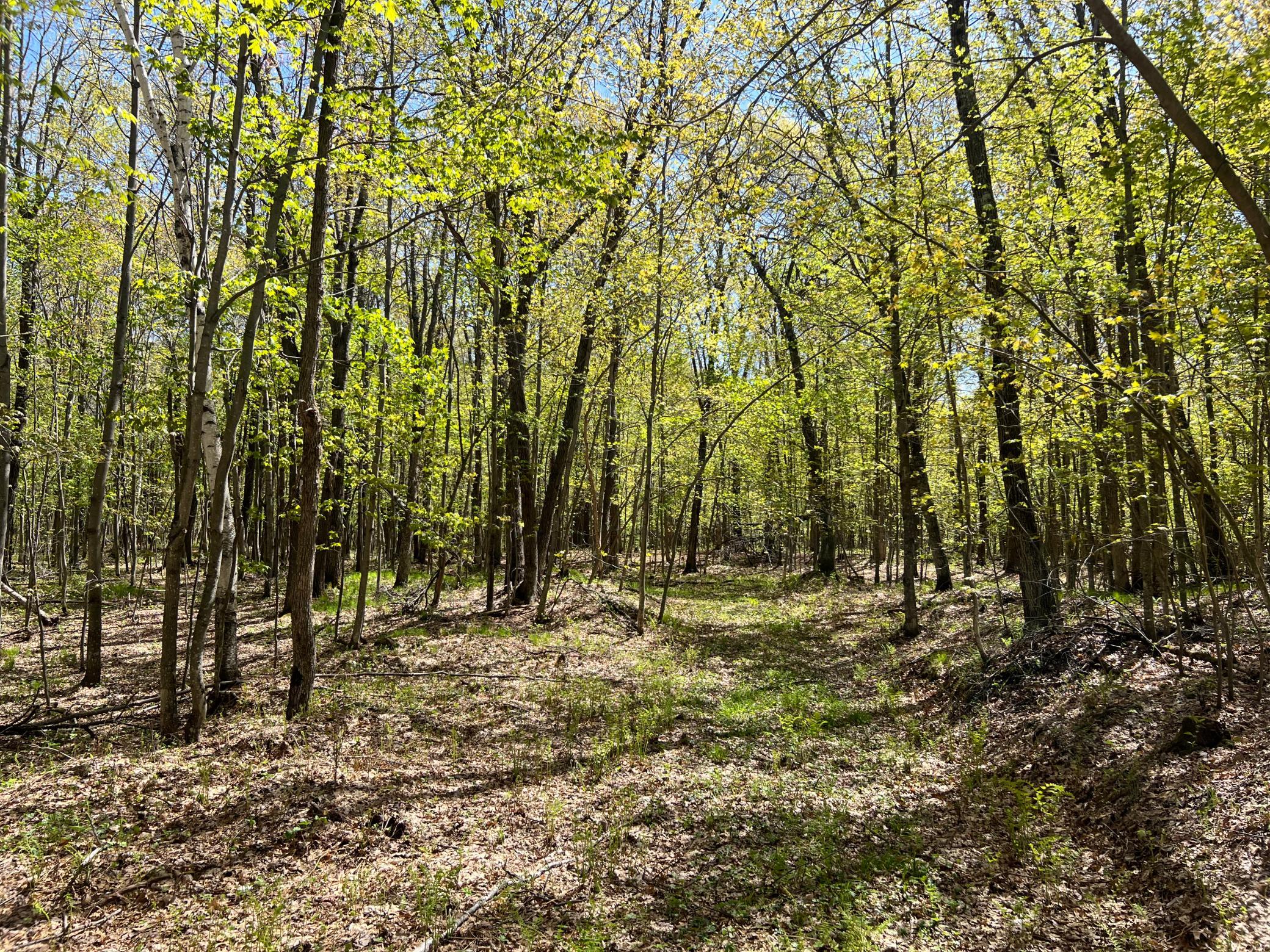 W6474 River Road Property Photo 13
