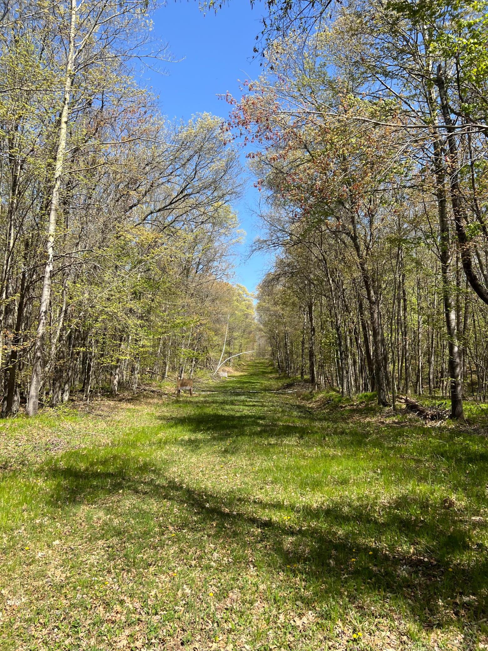 W6474 River Road Property Photo 15