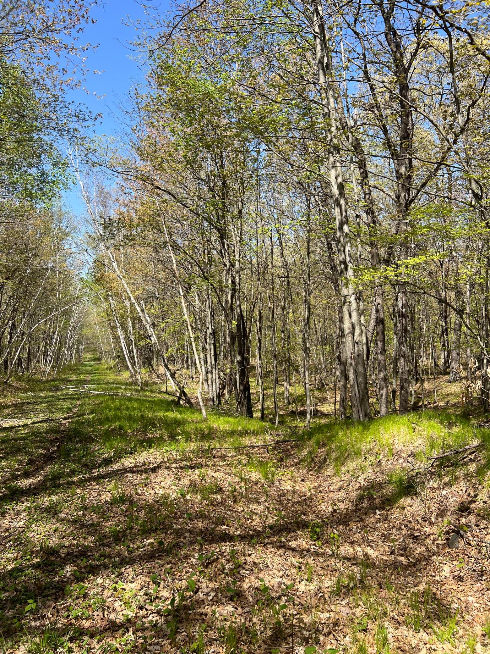 W6474 River Road Property Photo 19