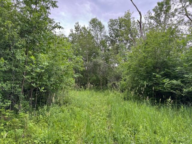 14717 State 210 Property Photo 83