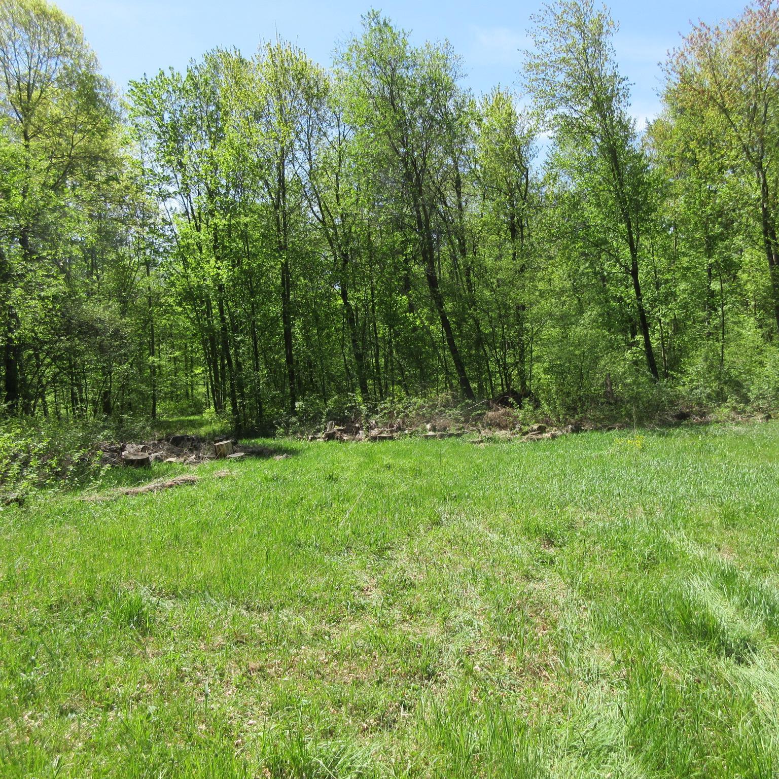 Xxx 810th Avenue Property Photo 1