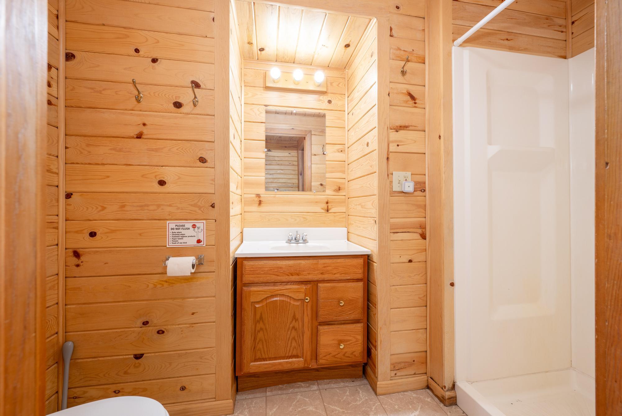 49231 County Road 173 Cabin 12 Property Photo 27