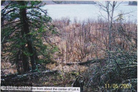 4xxxx Moose Bay Trail Property Photo 1