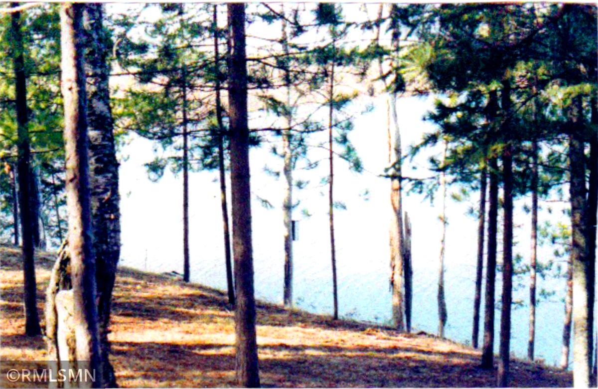 4xxxx Moose Bay Trail Property Photo 3