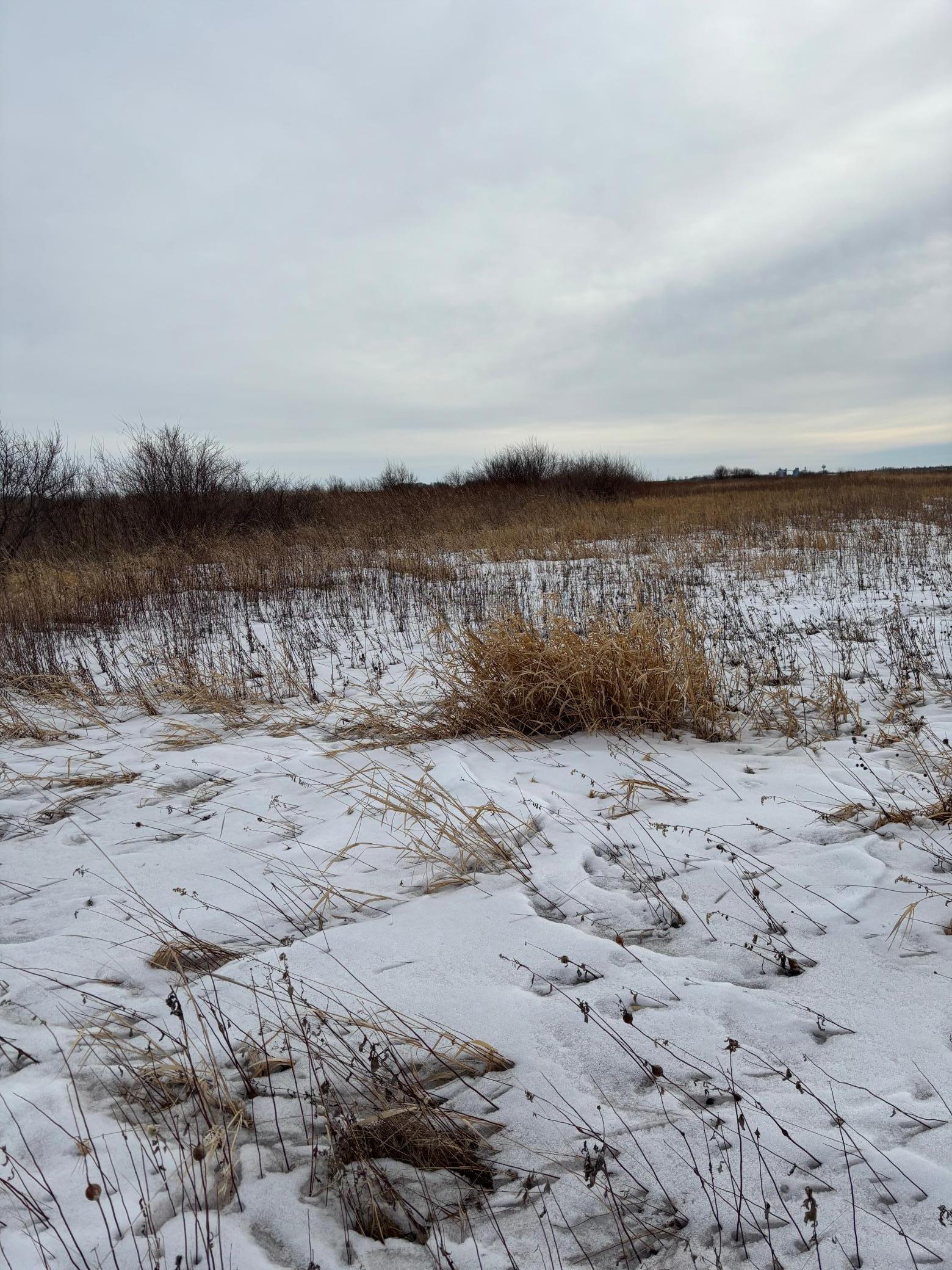 Tbd Hwy 59 Property Photo 4