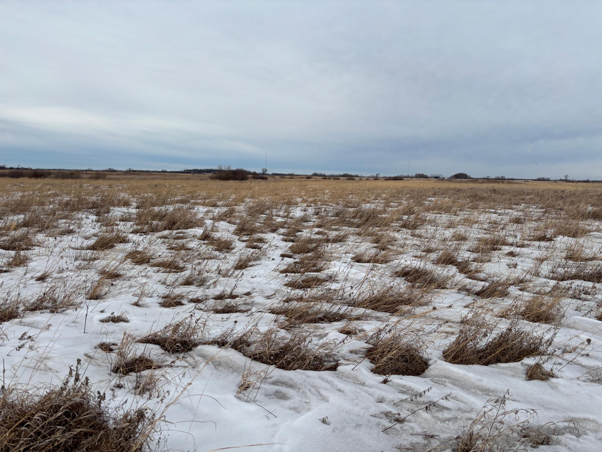 Tbd Hwy 59 Property Photo 5
