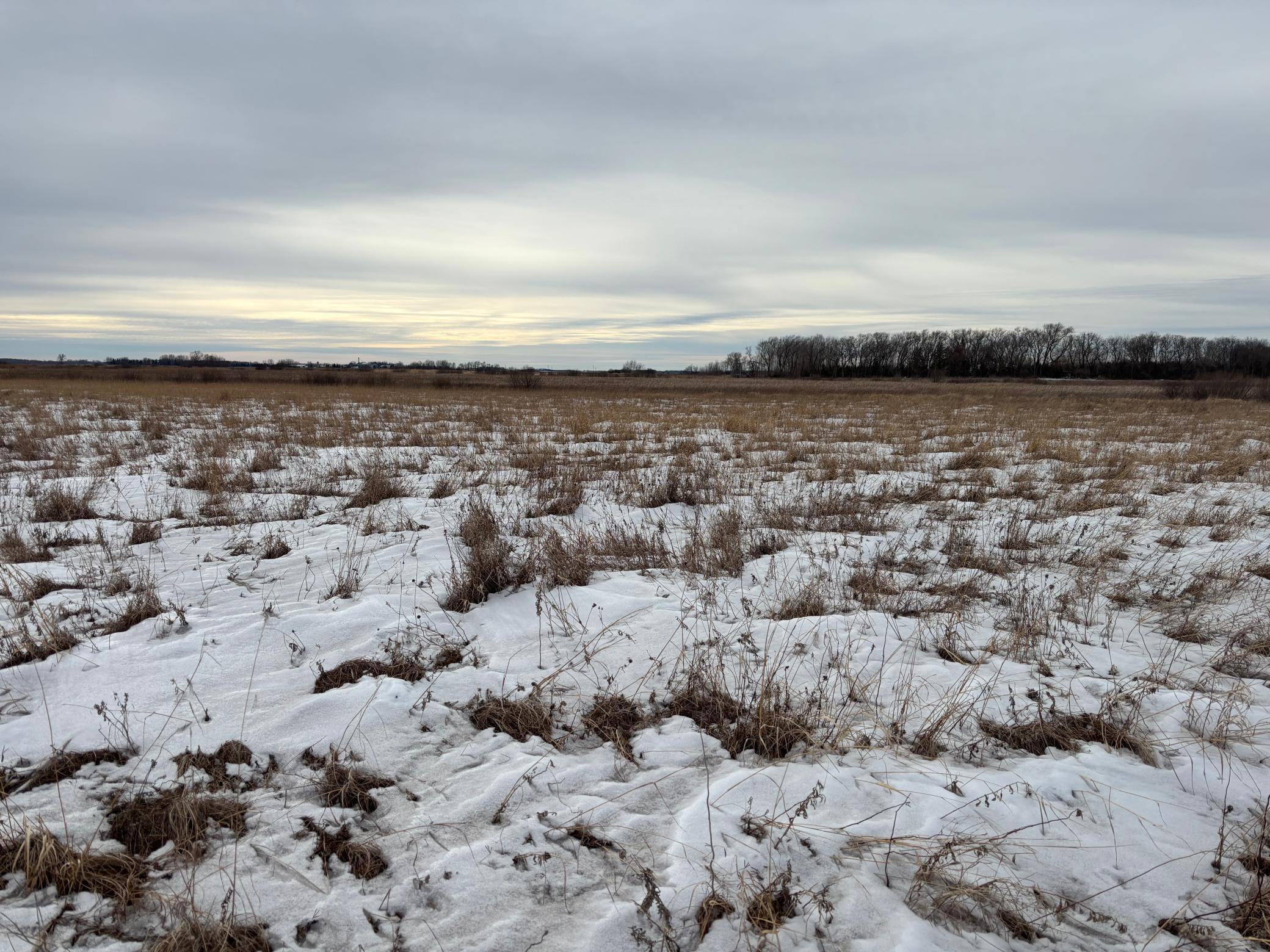 Tbd Hwy 59 Property Photo 6