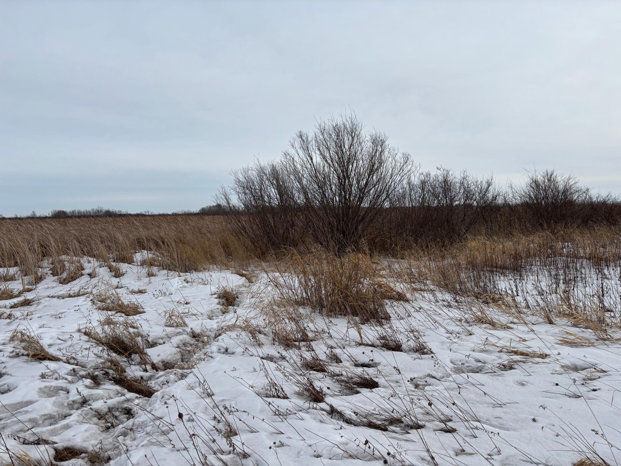 Tbd Hwy 59 Property Photo 10