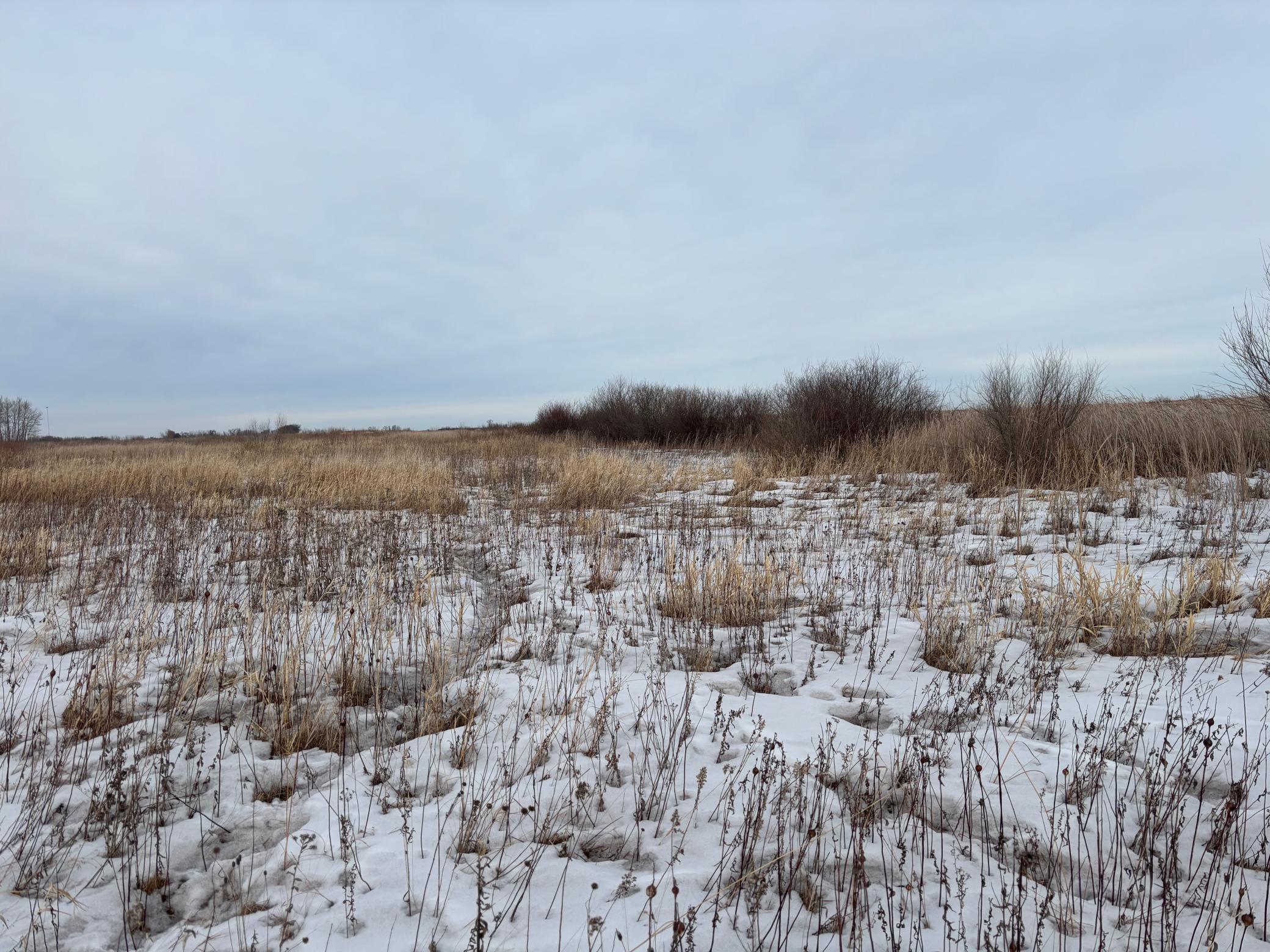 Tbd Hwy 59 Property Photo 11