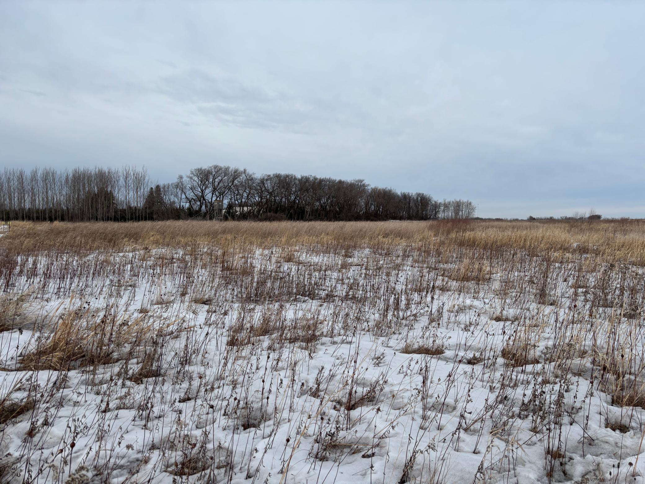 Tbd Hwy 59 Property Photo 12