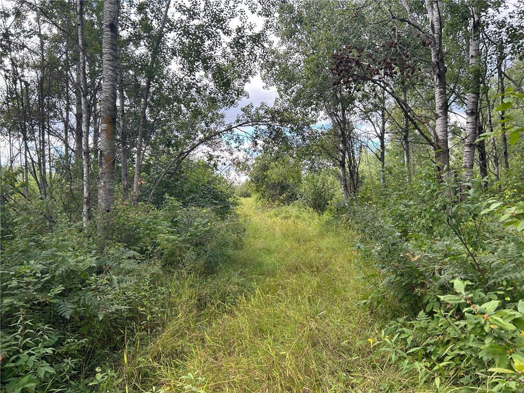 Tbd2 Duncan Road Property Photo 1