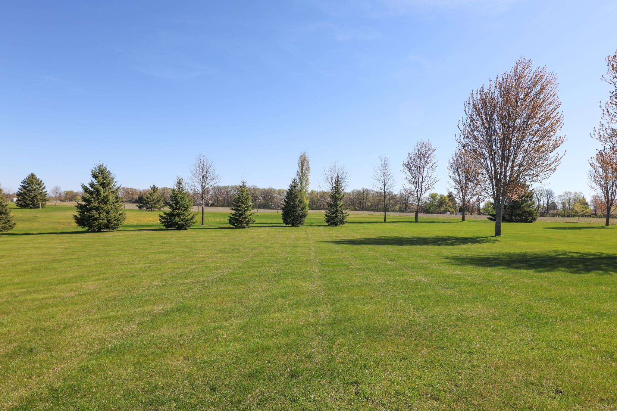 635 Dewberry Lane Property Photo 4