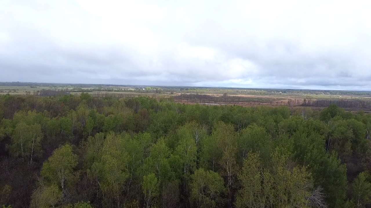 010071303 State Highway 210 Property Photo 2