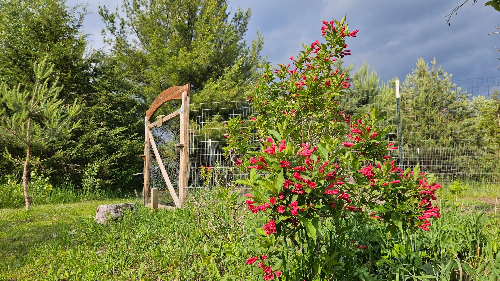 17140 Neill Path Property Photo 8